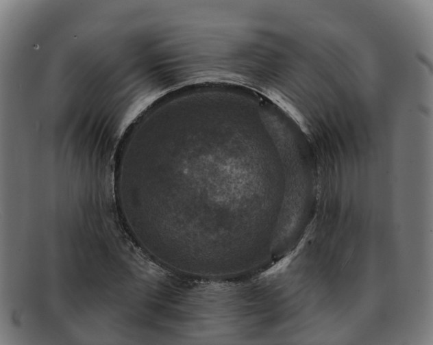 X0000091910877200709121515