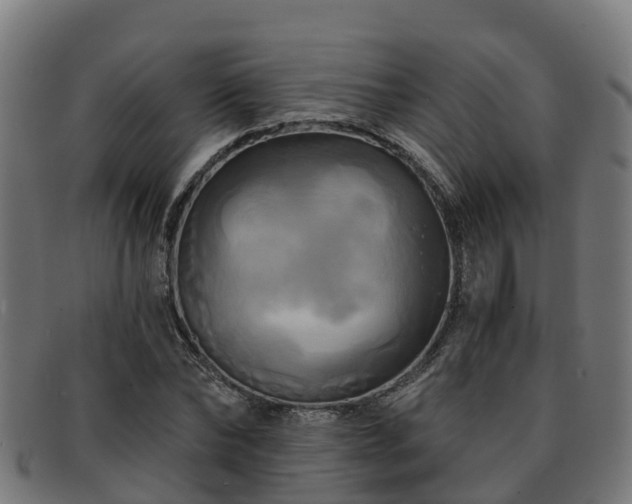 X0000091910878200709121515