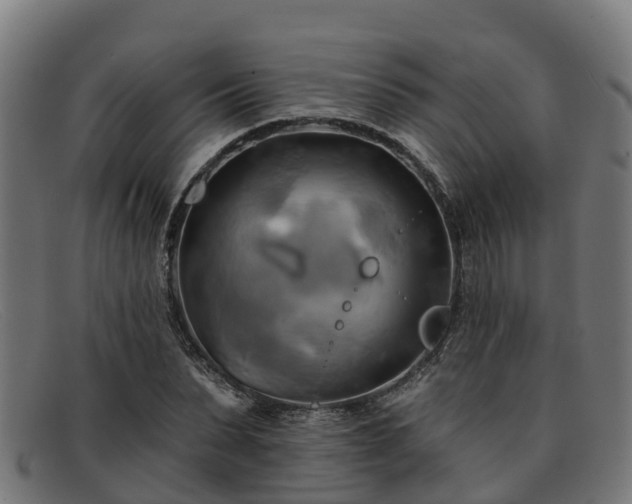 X0000091910879200709121515