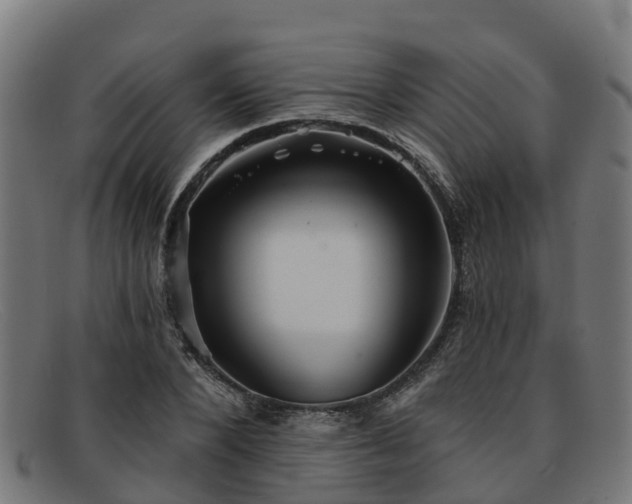 X0000091910880200709121515