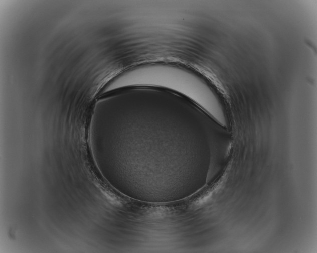 X0000091910881200709121515