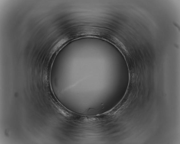 X0000091910882200709121515