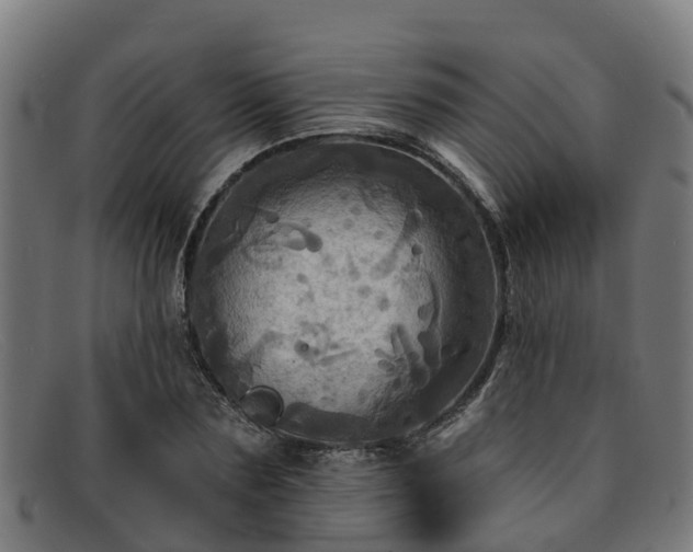 X0000091910883200709121515