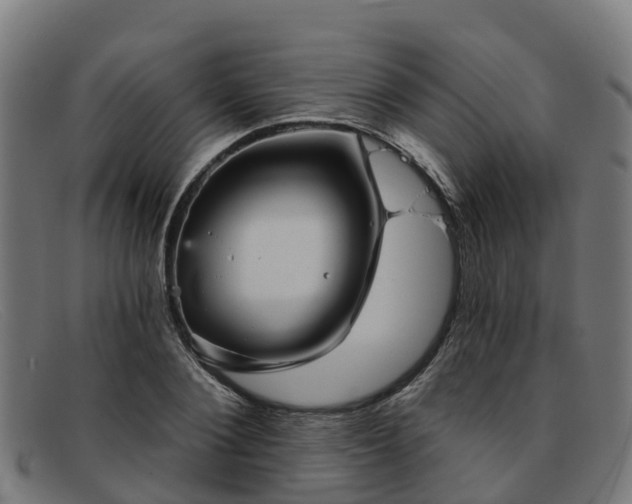 X0000091910884200709121515