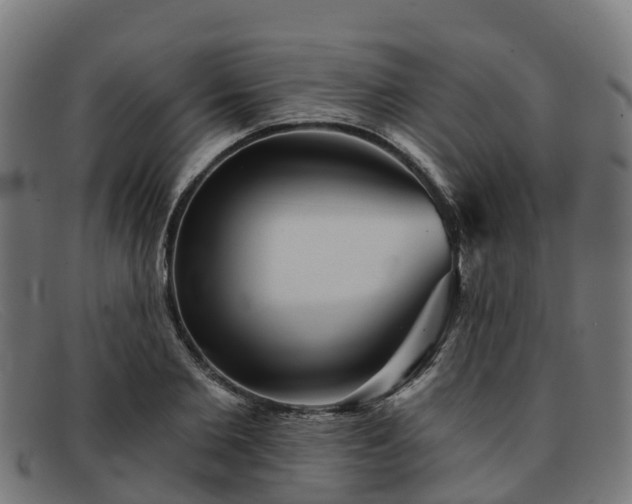 X0000091910885200709121515