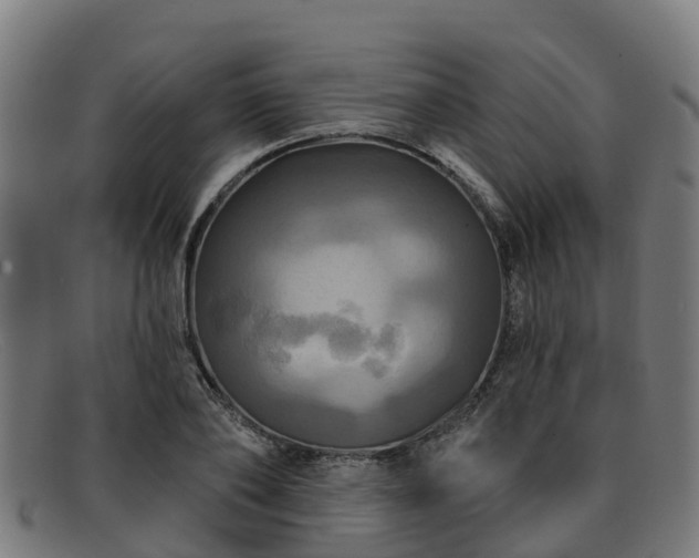 X0000091910886200709121515