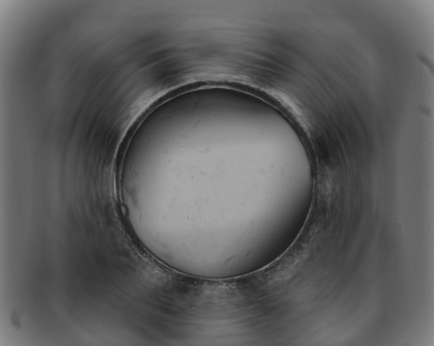 X0000091910887200709121515