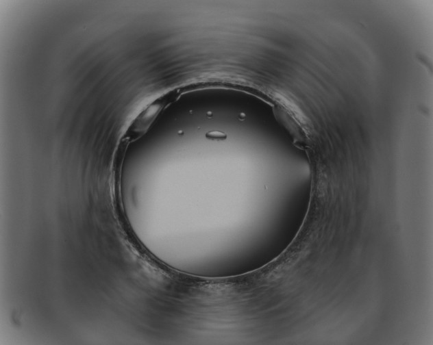 X0000091910888200709121515