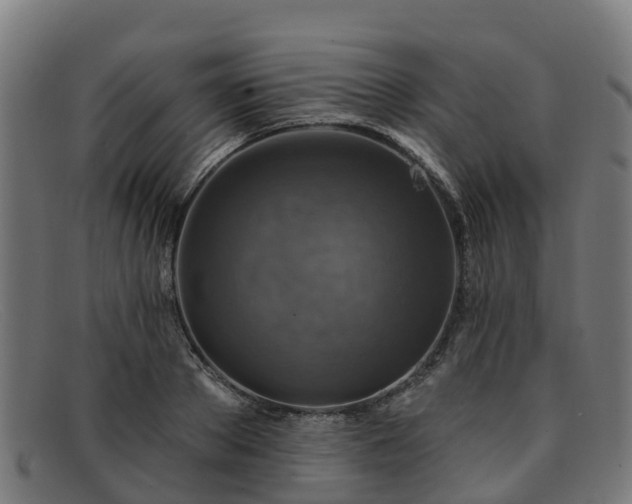 X0000091910889200709121515