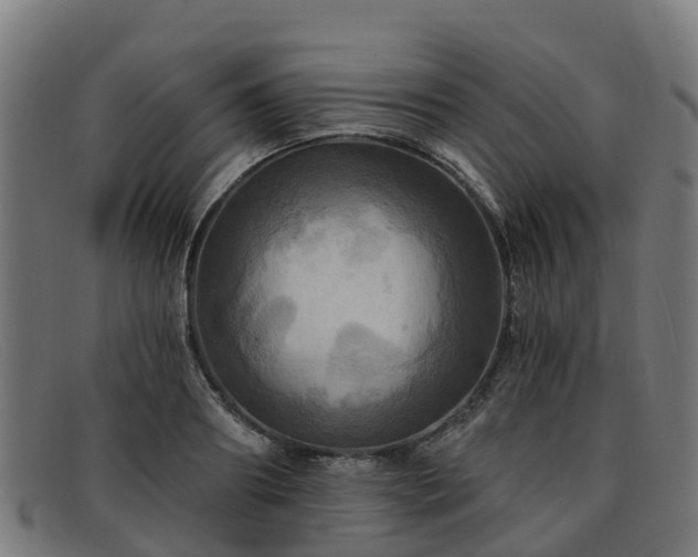 X0000091910890200709121515