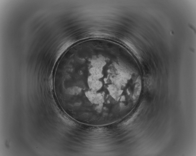 X0000091910891200709121515