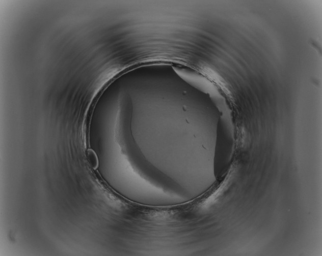 X0000091910892200709121515