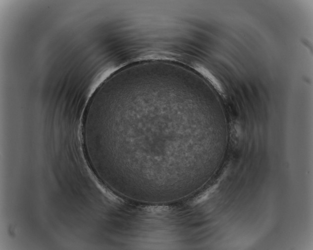 X0000091910893200709121515