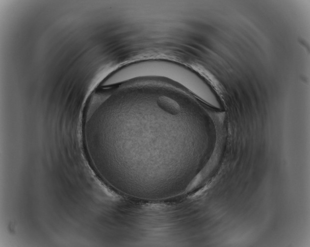 X0000091910894200709121515