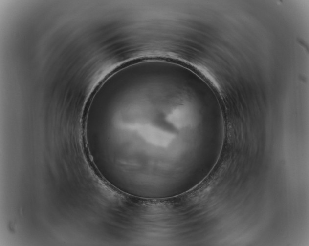 X0000091910895200709121515