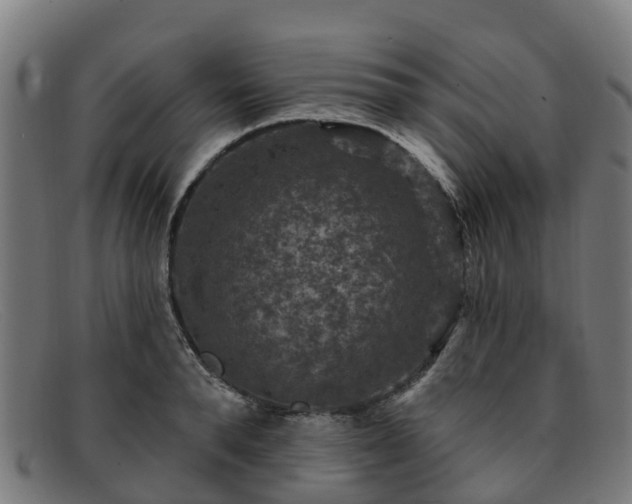 X0000091910896200709121515