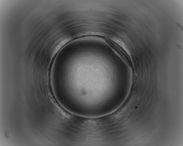 X0000091910898200709121515