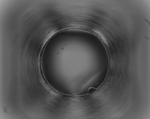 X0000091910899200709121515