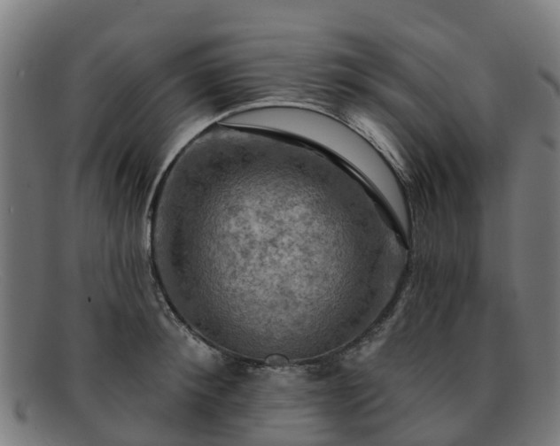 X0000091910900200709121515