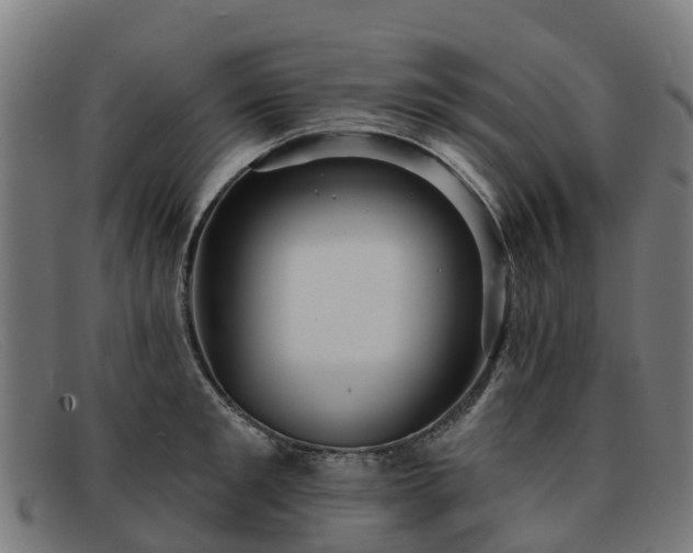 X0000091910901200709121515