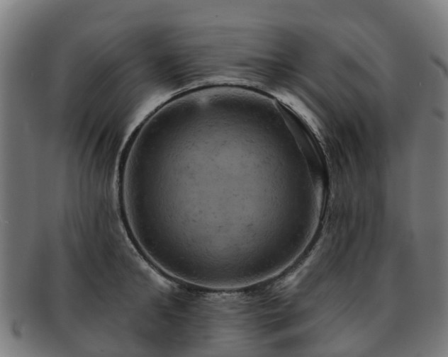 X0000091910902200709121515