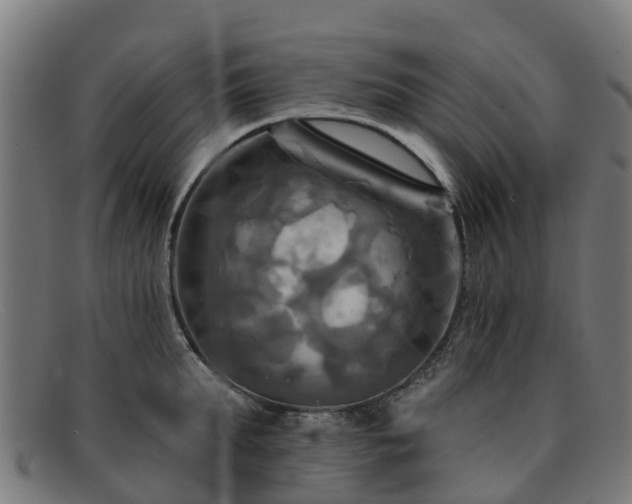 X0000091910903200709121515