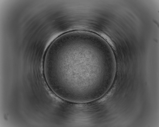 X0000091910904200709121515