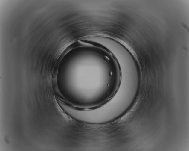 X0000091910905200709121515