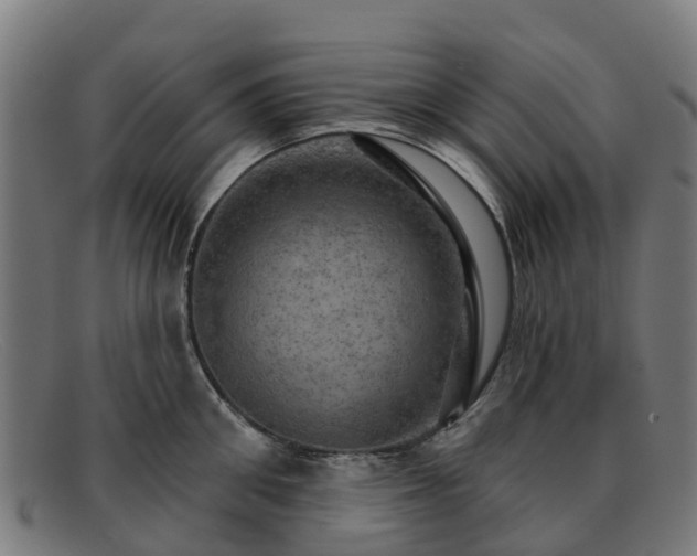 X0000091910906200709121515