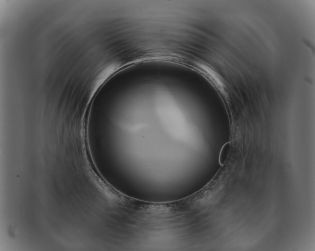 X0000091910907200709121515