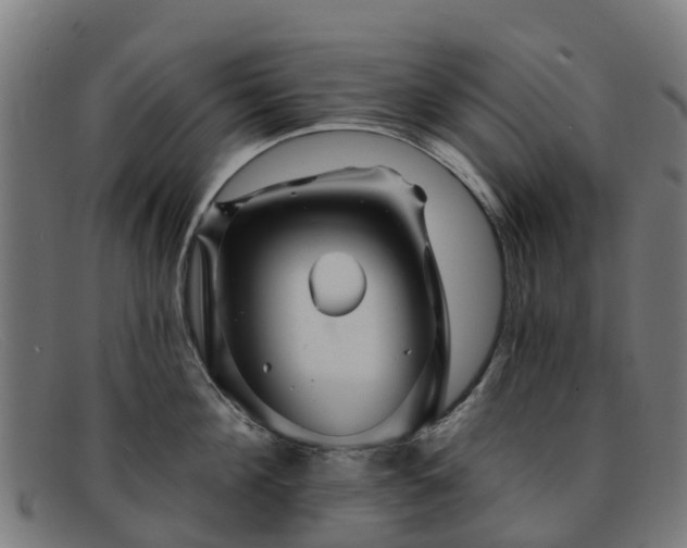 X0000091910908200709121515