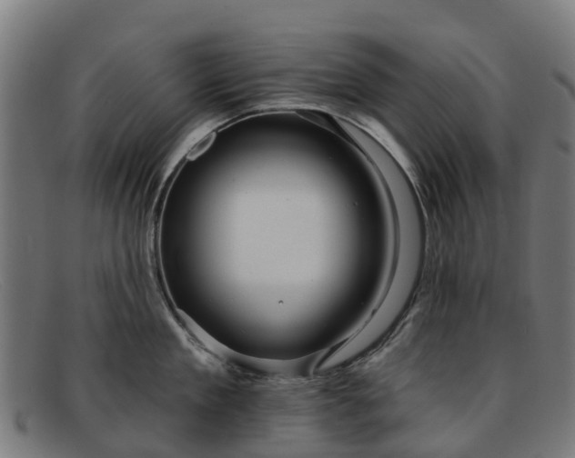 X0000091910909200709121515