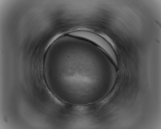 X0000091910910200709121515