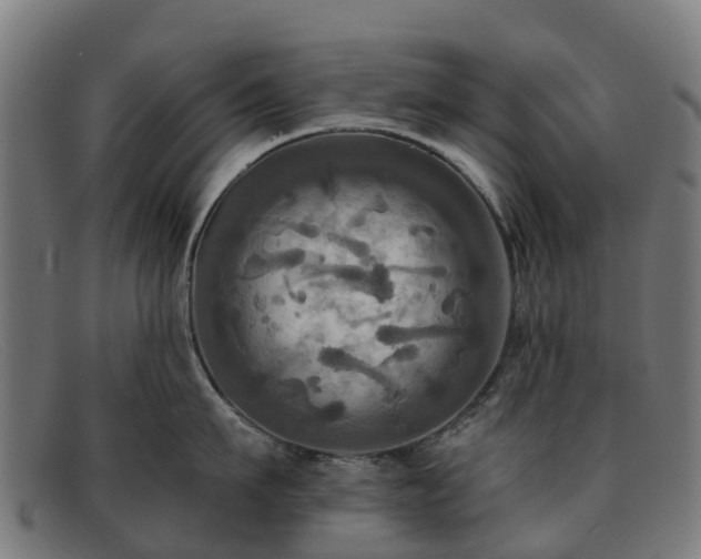 X0000091910911200709121515