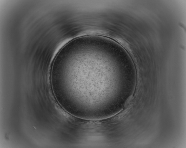 X0000091910912200709121515