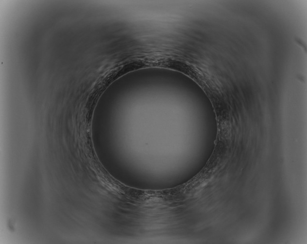 X0000091910913200709121514