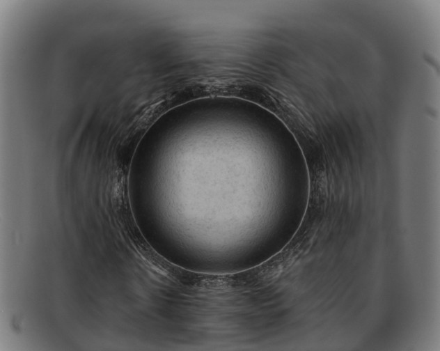 X0000091910914200709121514