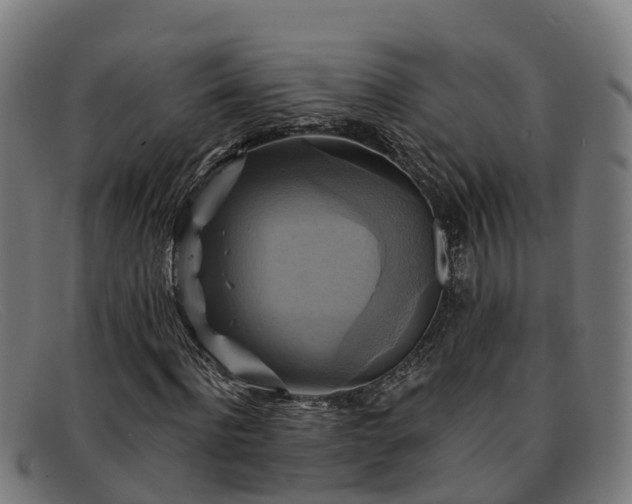 X0000091910916200709121514