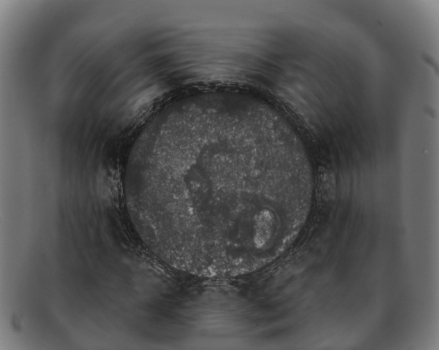 X0000091910918200709121514