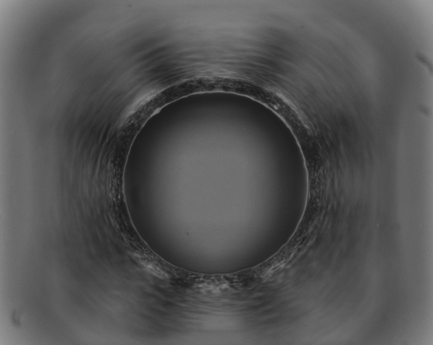 X0000091910919200709121514