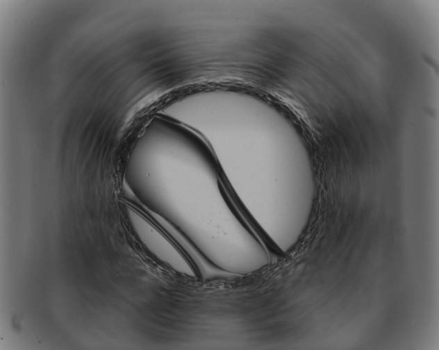 X0000091910920200709121514