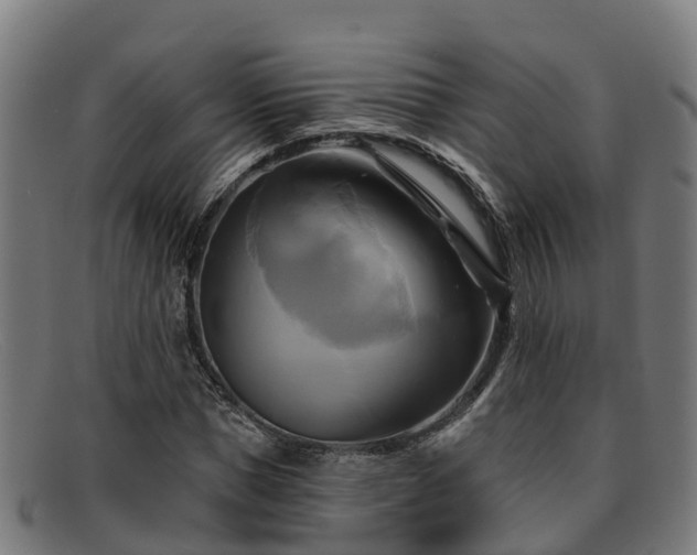 X0000091910921200709121514