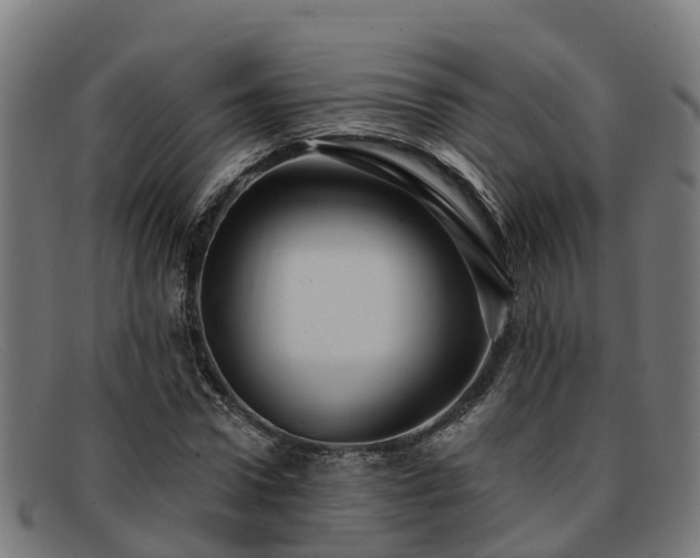 X0000091910922200709121514