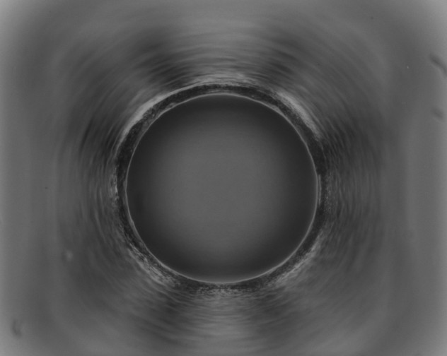 X0000091910923200709121514