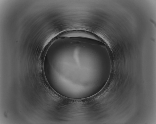 X0000091910925200709121514