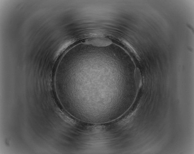 X0000091910930200709121514