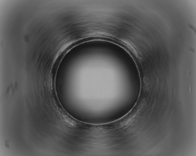 X0000091910931200709121514