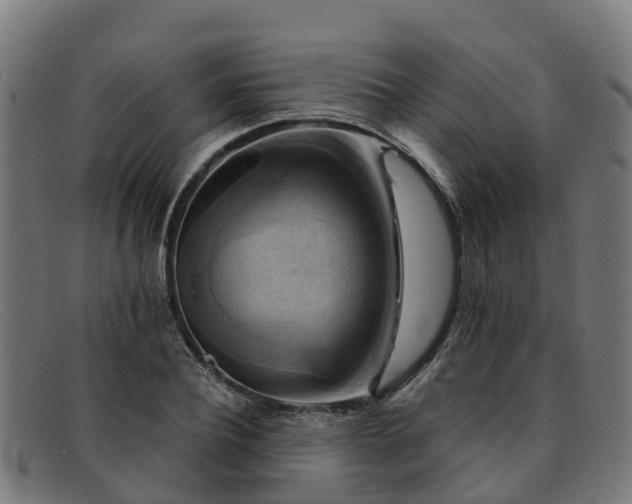 X0000091910932200709121514