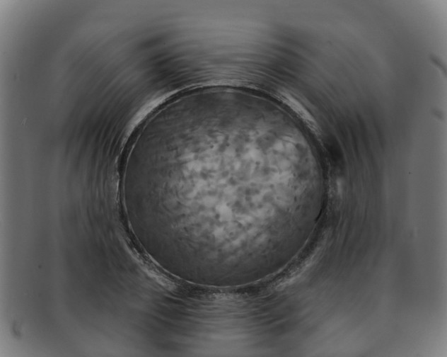 X0000091910933200709121514