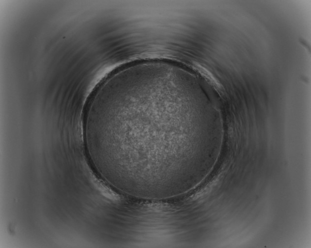 X0000091910934200709121514